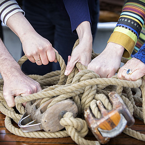 Fünf Hände halten ein Bündel aus Seilen 