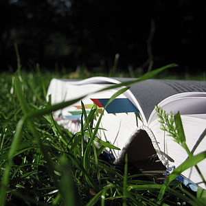 Book laying in the grass