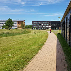 Bild eines Weges, der entlang dreier Gebäude über den grünen Campus führt