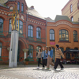Eine Gruppe Studierender geht durch die Flensburger Innenstadt 