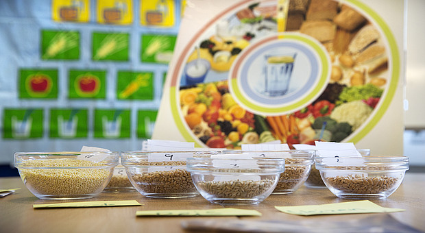 Mehrere durchsichtige Schalen mit verschiedenen Getreidesorten stehen auf einem Tisch vor einer Ernährungspyramide und einem Poster mit Obst- und Gemüsesymbolen.