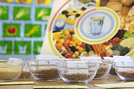 Mehrere durchsichtige Schalen mit verschiedenen Getreidesorten stehen auf einem Tisch vor einer Ernährungspyramide und einem Poster mit Obst- und Gemüsesymbolen.