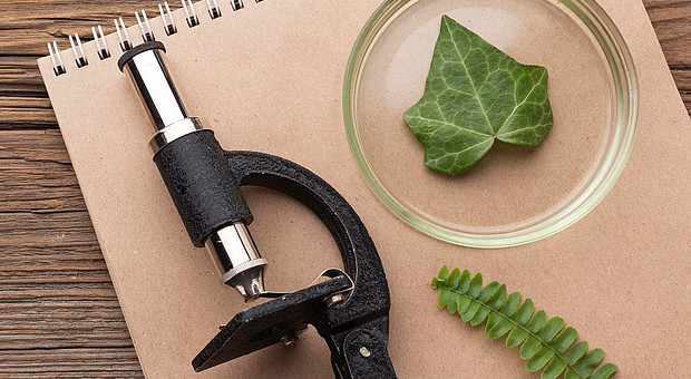 Ein Mikroskop und grüne Blätter auf einem Notizblock. 