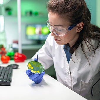 Eine Braunhaarige Studierende, die einen Lösungstest aus einer Petrischale analysiert
