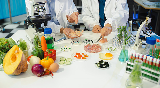 zwei Menschen führen Experimente mit Lebensmitteln durch. Auf einem Tisch stehen unterschiedliche Gemüsesorten 