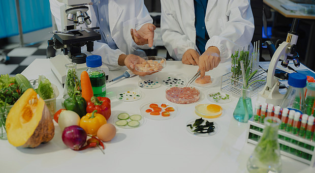 zwei Menschen führen Experimente mit Lebensmitteln durch. Auf einem Tisch stehen unterschiedliche Gemüsesorten 