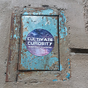 Cultivate curiosity