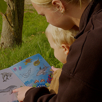 zeigt eine Studierende der Uni Flensburg vorlesend aus einem Tierbuch und einem Kind