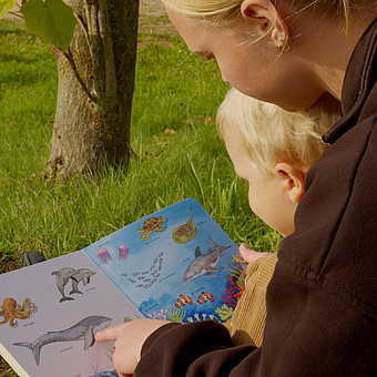 Nahaufnahme einer Lehrkraft Studierenden, die einem Kind aus einem Buch vorliest.  