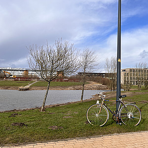 Campusgelände, Fahrrad gegen einem Laternenpfahl gelehnt
