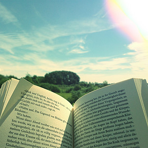 Reading a book in the sunlight surrounded by nature