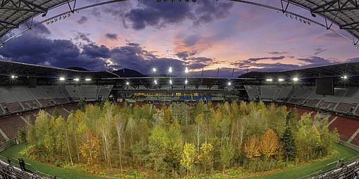 Bild eines Stadions, das im Inneren mit Bäumen bepflanzt ist