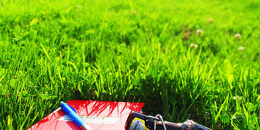 Bücher im Gras