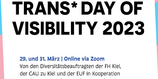 Plakat zum internationalen Aktionstag Trans Day of Visibility 