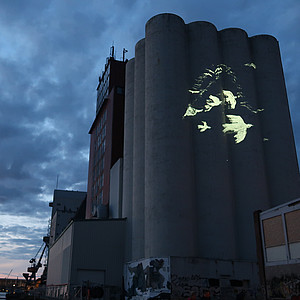 Projektionen von Vögeln auf der Wand eines Industriegebäudes