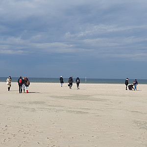 Auf dem Bild sieht man Studierende an einem weitläufigen Strand.